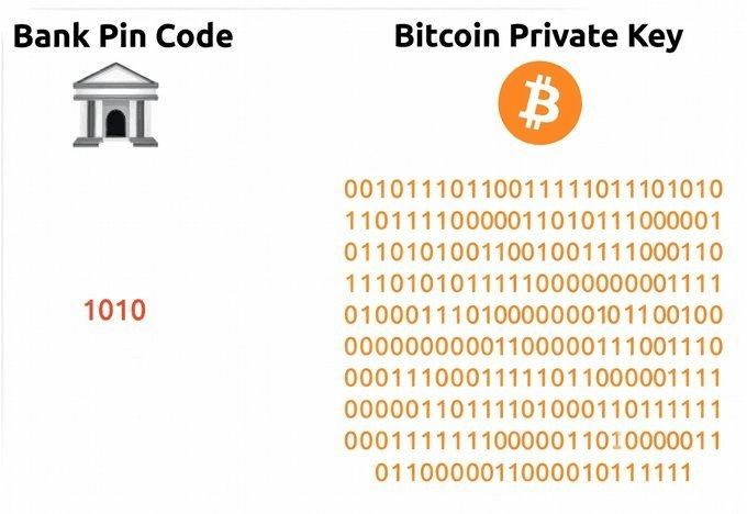 moon252423/23541/6278327518091743126