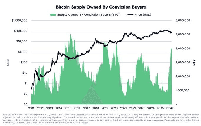 moon252423/23681/6312233639193809841
