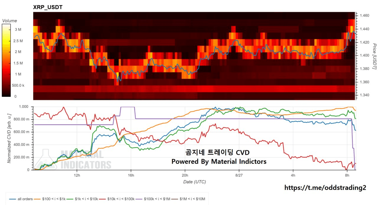 🔥 곰지네 CVD (XRP) 🔥 DAY