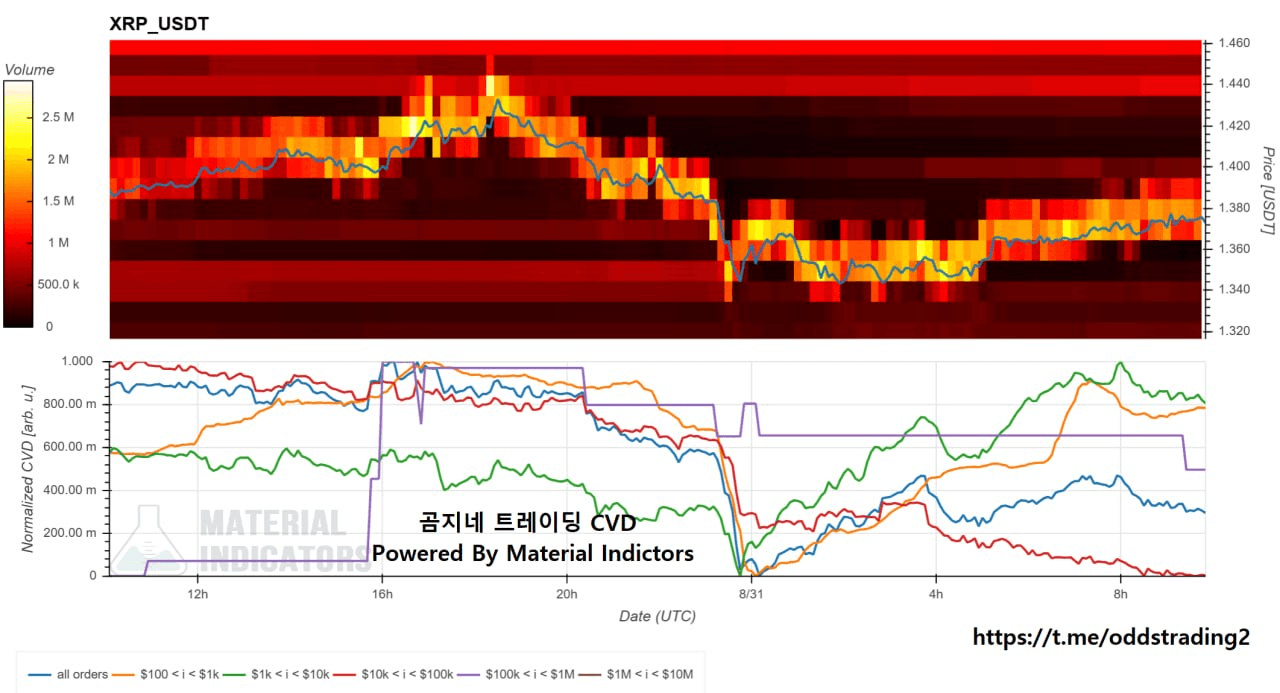 🔥 곰지네 CVD (XRP) 🔥 DAY