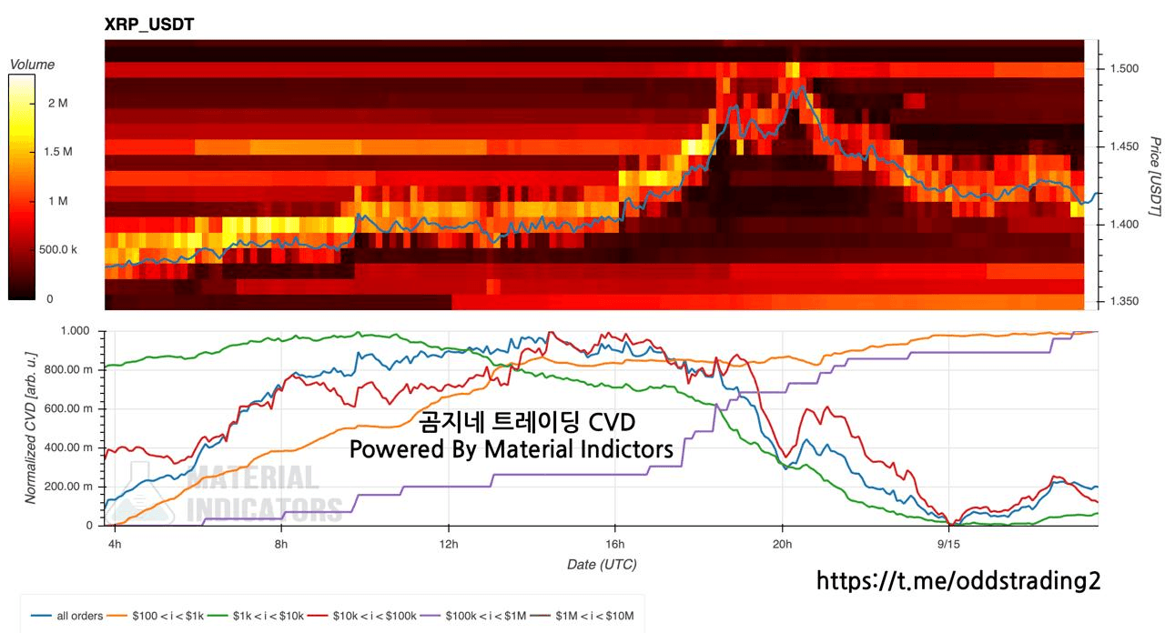 🔥 곰지네 CVD (XRP) 🔥 DAY