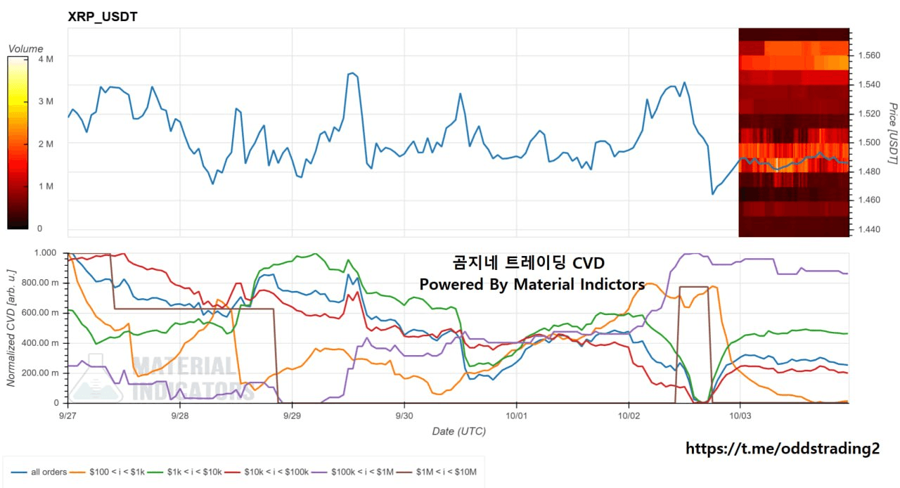 🔥 곰지네 CVD (XRP) 🔥 WEEK