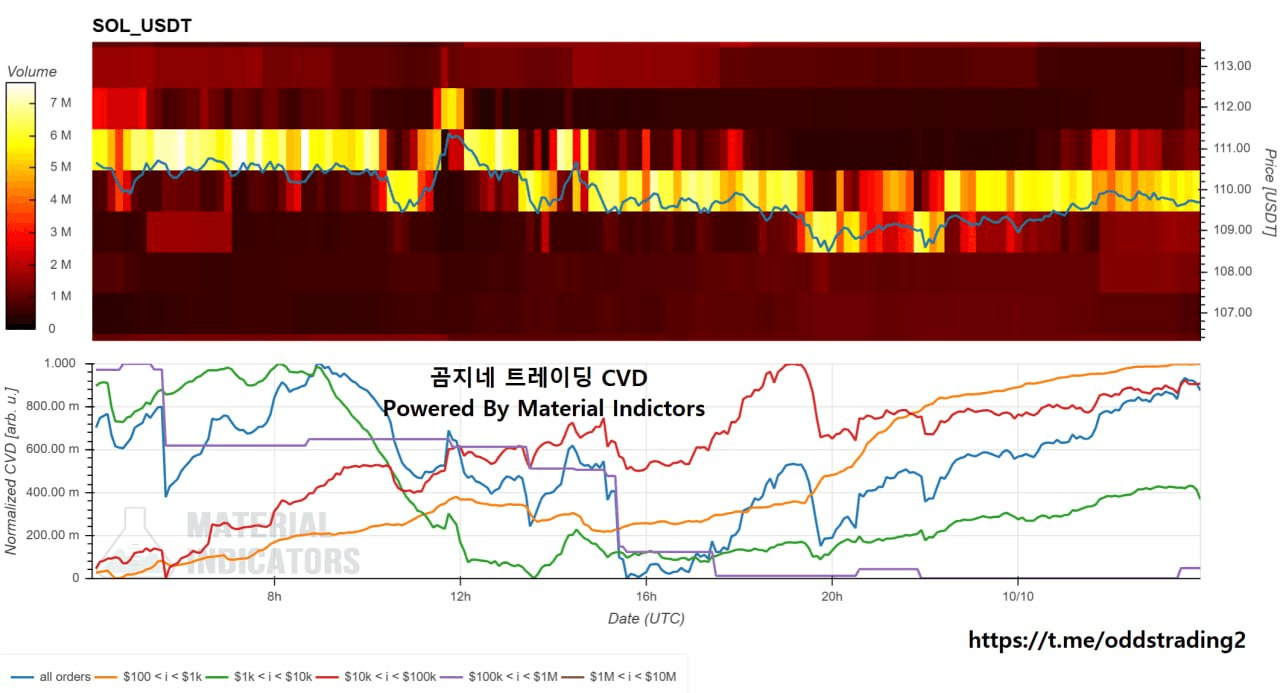 🔥 곰지네 CVD (SOL) 🔥 DAY