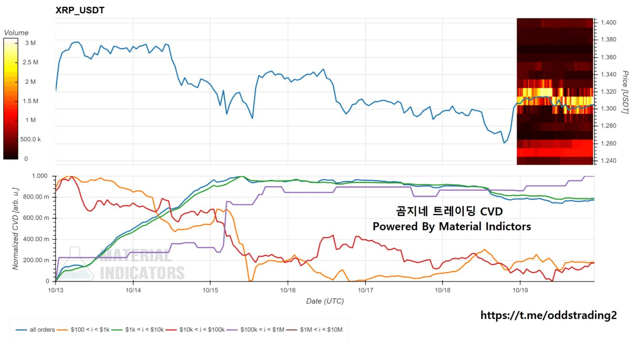🔥 곰지네 CVD (XRP) 🔥 WEEK
