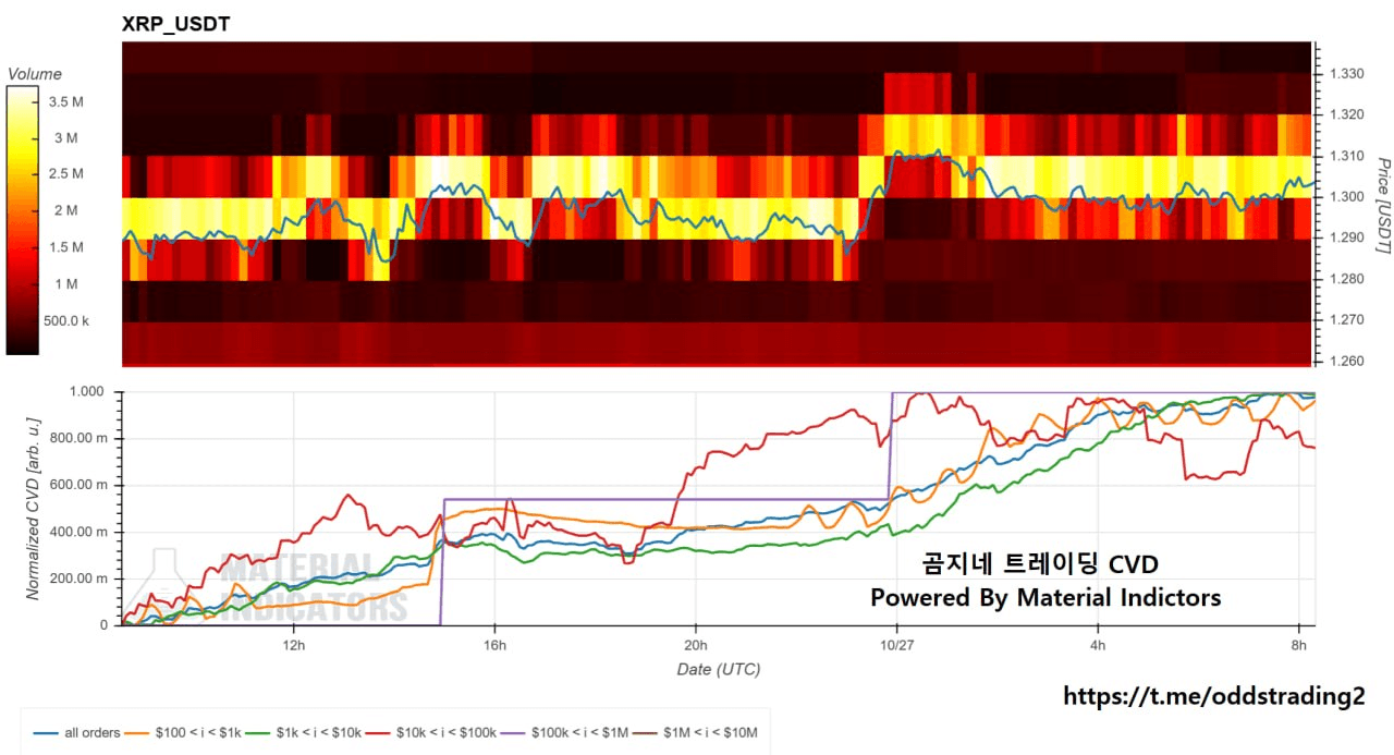 🔥 곰지네 CVD (XRP) 🔥 DAY