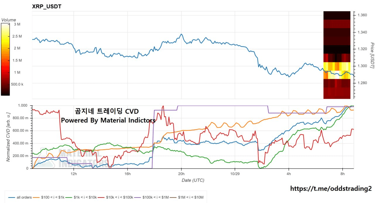 🔥 곰지네 CVD (XRP) 🔥 DAY