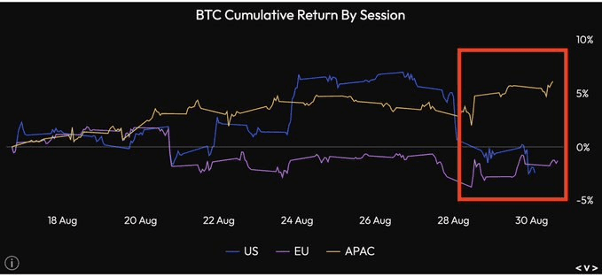 shampoo1004/79123/5950467809408562530