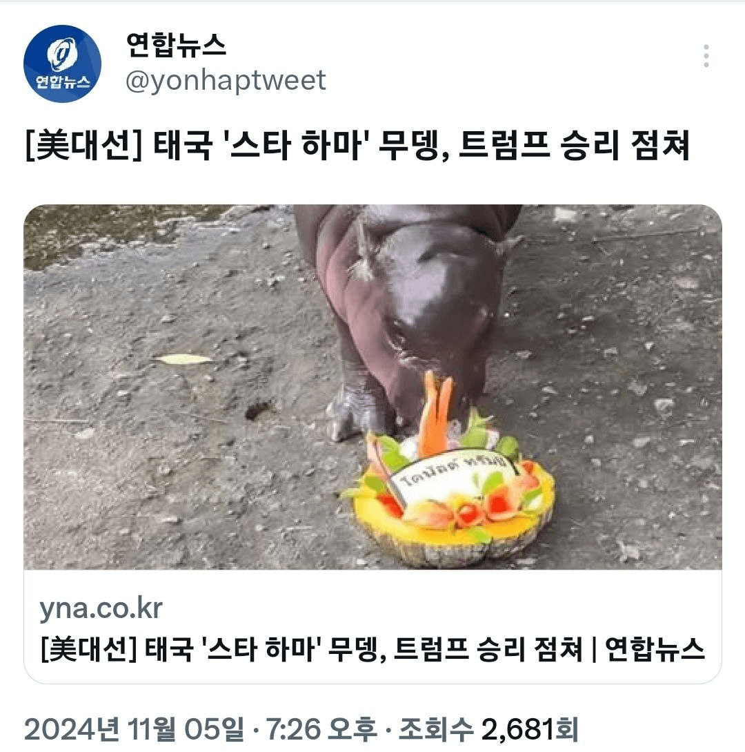 shampoo1004/79708/6147917128272036953