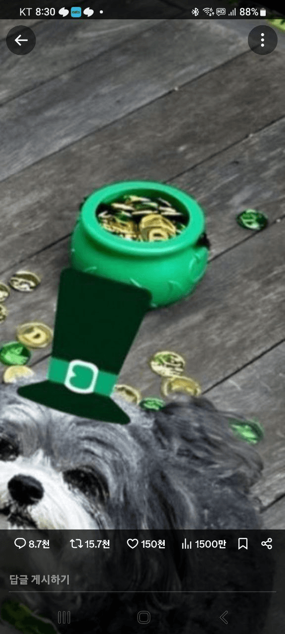 shampoo1004/82901/6253370940599681739