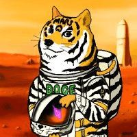 shampoo1004/83050/6040768831087030555