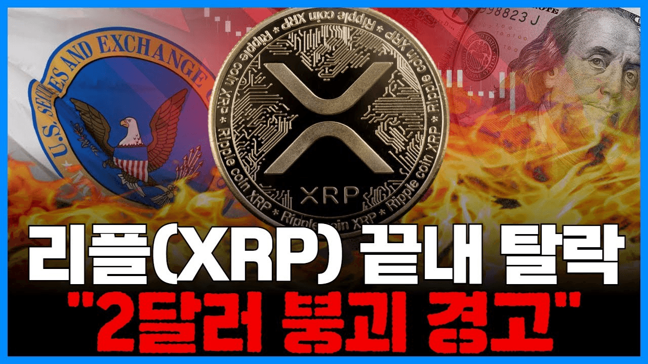 shampoo1004/83058/5984225732664080275