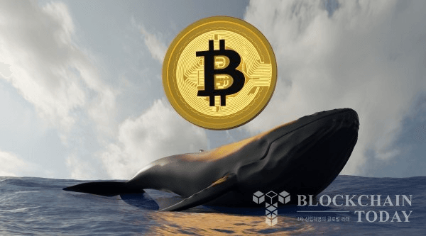 shampoo1004/83088/5988809978892367883