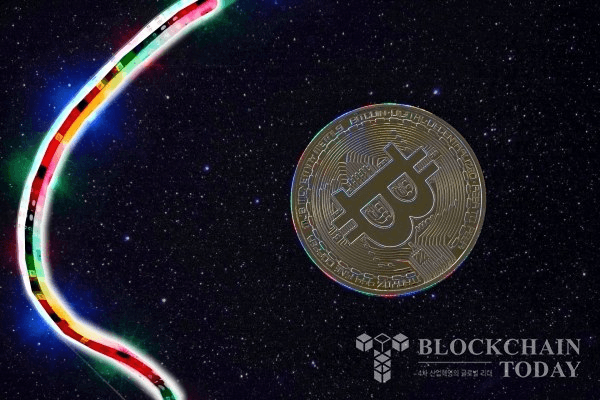 shampoo1004/83152/5995752935260272894