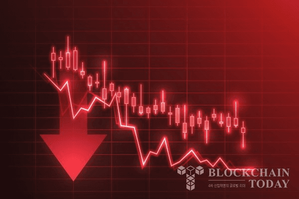 shampoo1004/83388/6024897891841194288