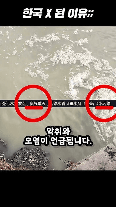 shampoo1004/83449/6027334959364159562