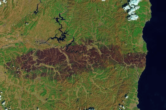 shampoo1004/83467/6033733064770828052