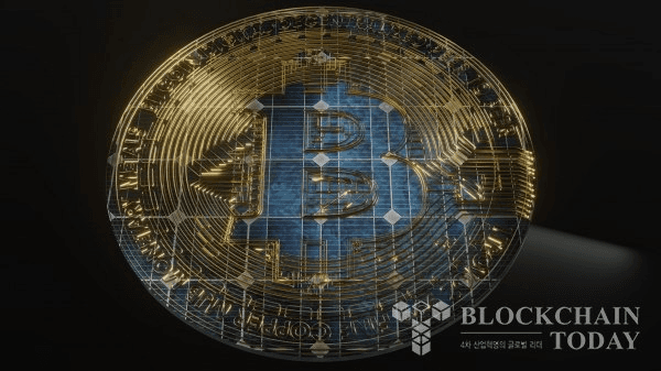 shampoo1004/83474/6031832052116076383