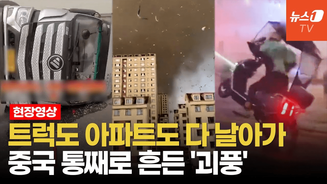 shampoo1004/83567/6043043213838759887