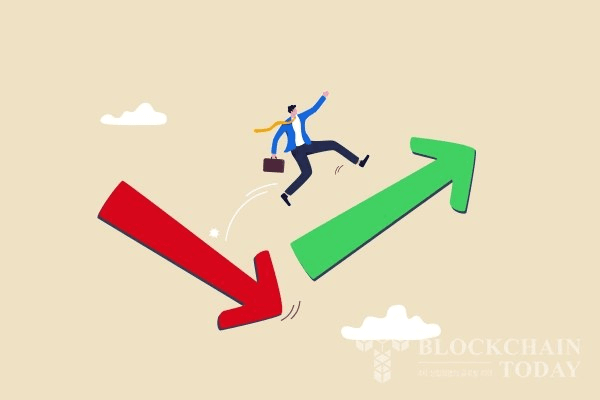 shampoo1004/83641/5766221670984562538