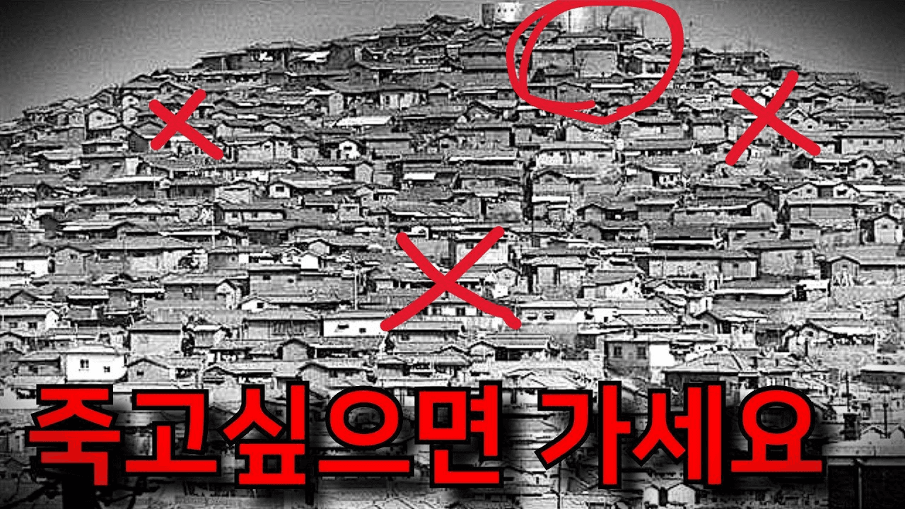 shampoo1004/83689/5775054189624408039