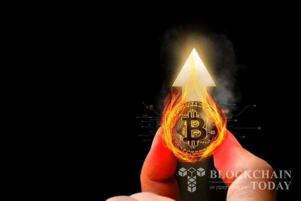 shampoo1004/83726/5777554947217406114