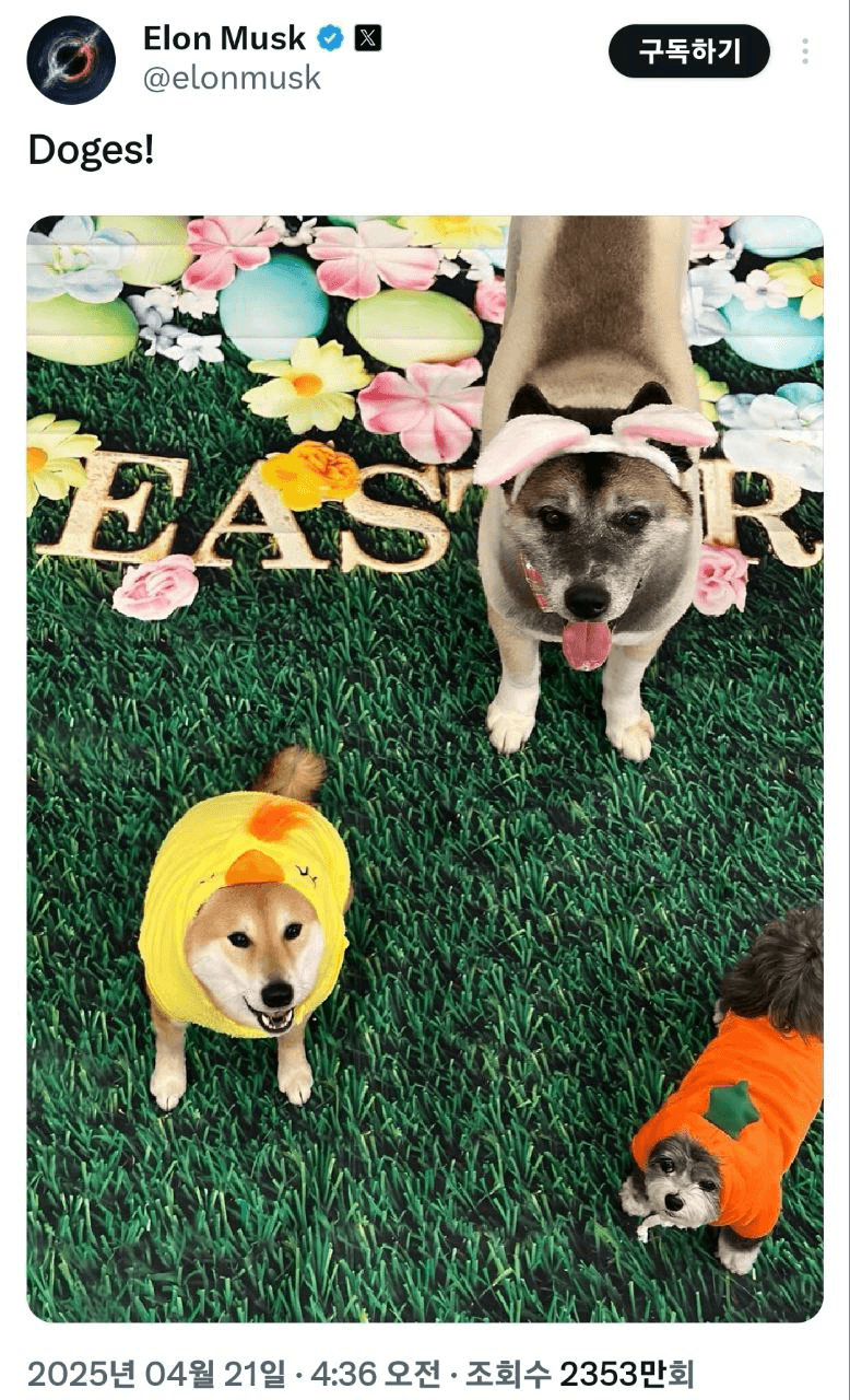 shampoo1004/83730/6066555144717321291