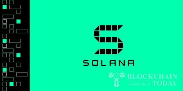 shampoo1004/83747/5782058465240397875