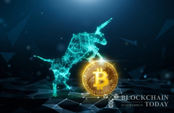 shampoo1004/83749/5781504874020714330