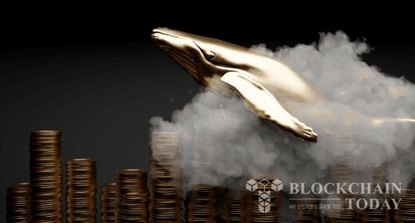 shampoo1004/83761/5781529058981558334