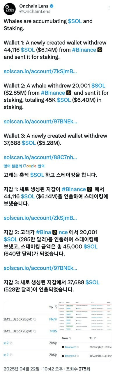 shampoo1004/83772/6071058744344691074