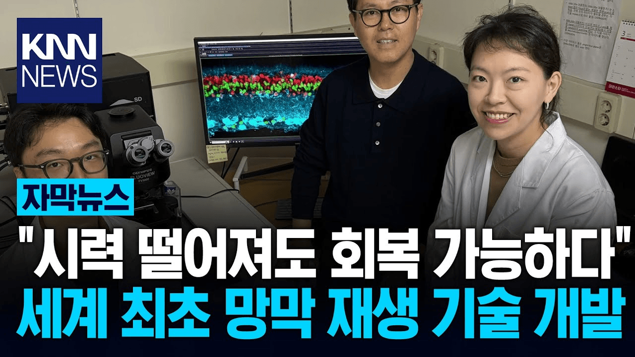 shampoo1004/83835/6022533108617820117