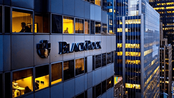 shampoo1004/83957/5793082641266882867