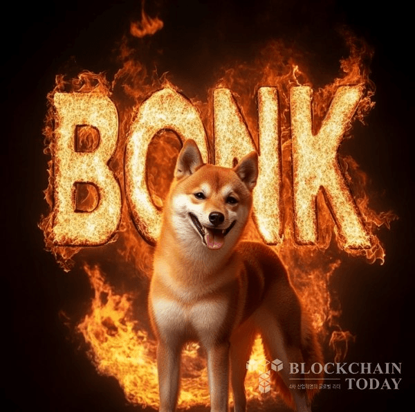 shampoo1004/84017/5801873623278008461