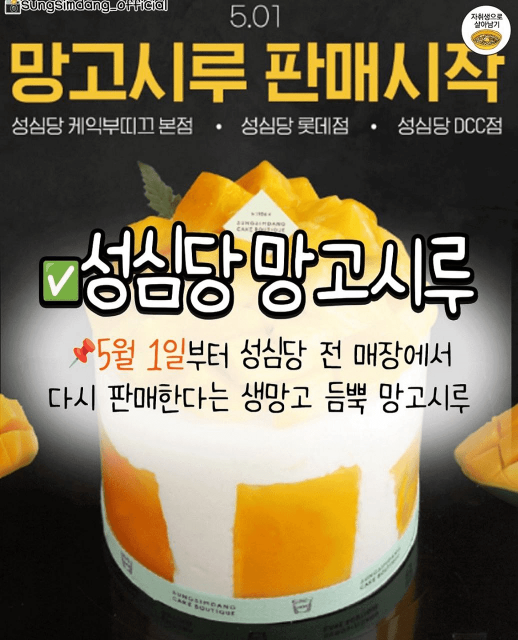 shampoo1004/84088/6095676440323409023