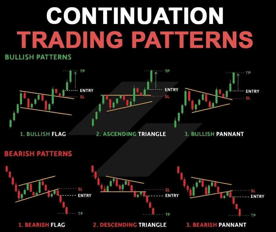 shampoo1004/84096/6095676440323409074