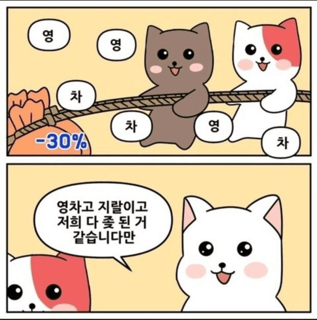 shampoo1004/84592/6161403918286964349