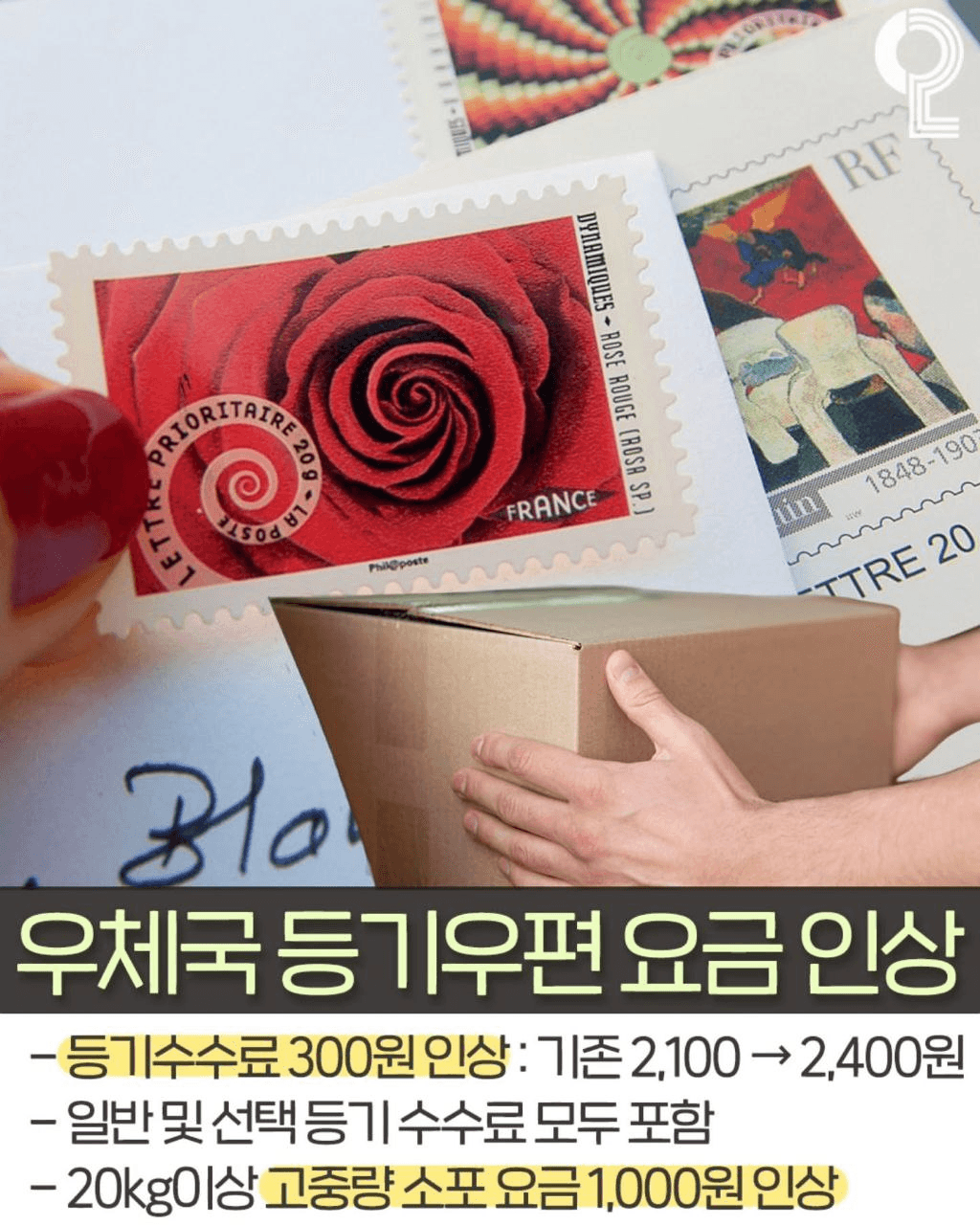 shampoo1004/84815/6188439191227057610