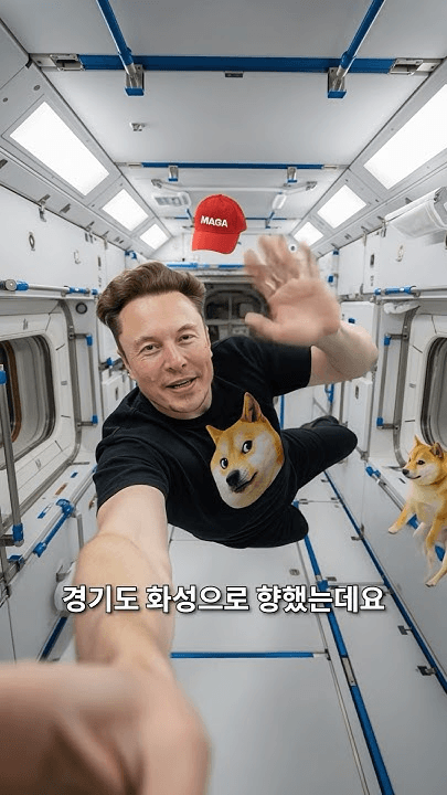 shampoo1004/85509/5975192574627002902