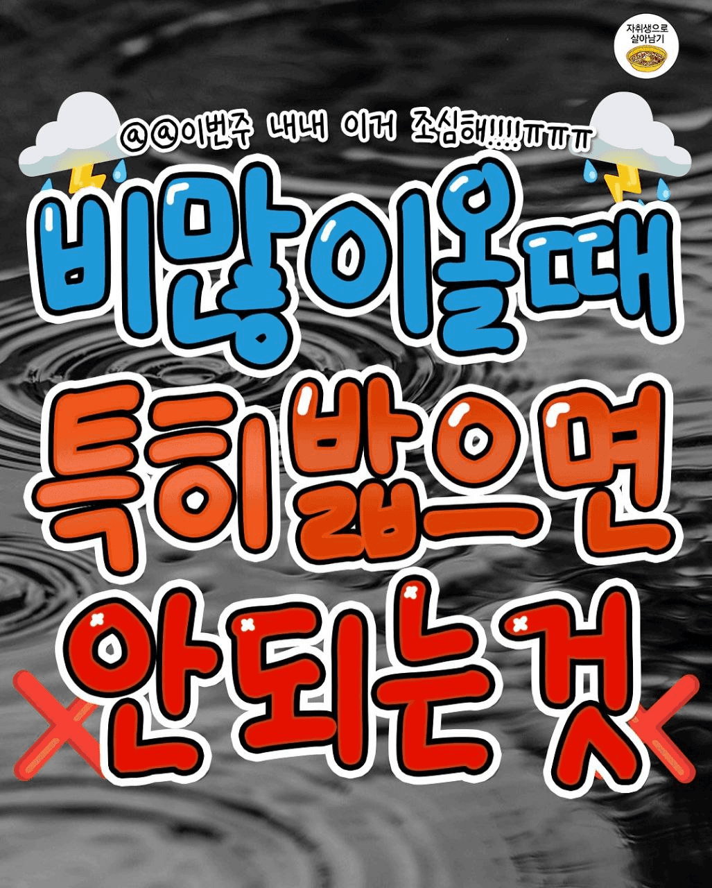 shampoo1004/85902/6323576974236305015