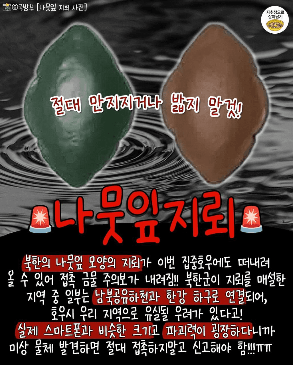 shampoo1004/85903/6323576974236305016