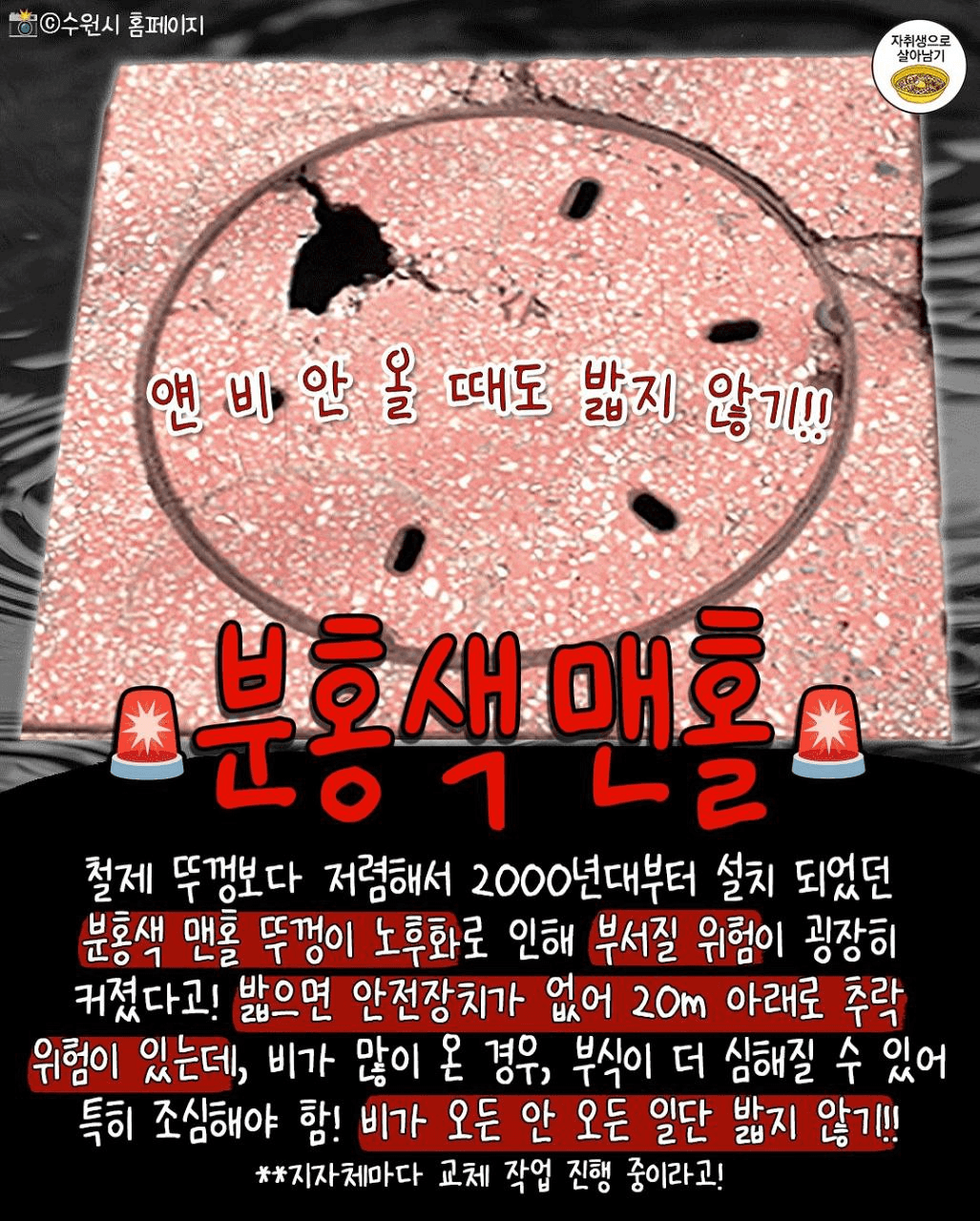 shampoo1004/85904/6323576974236305017