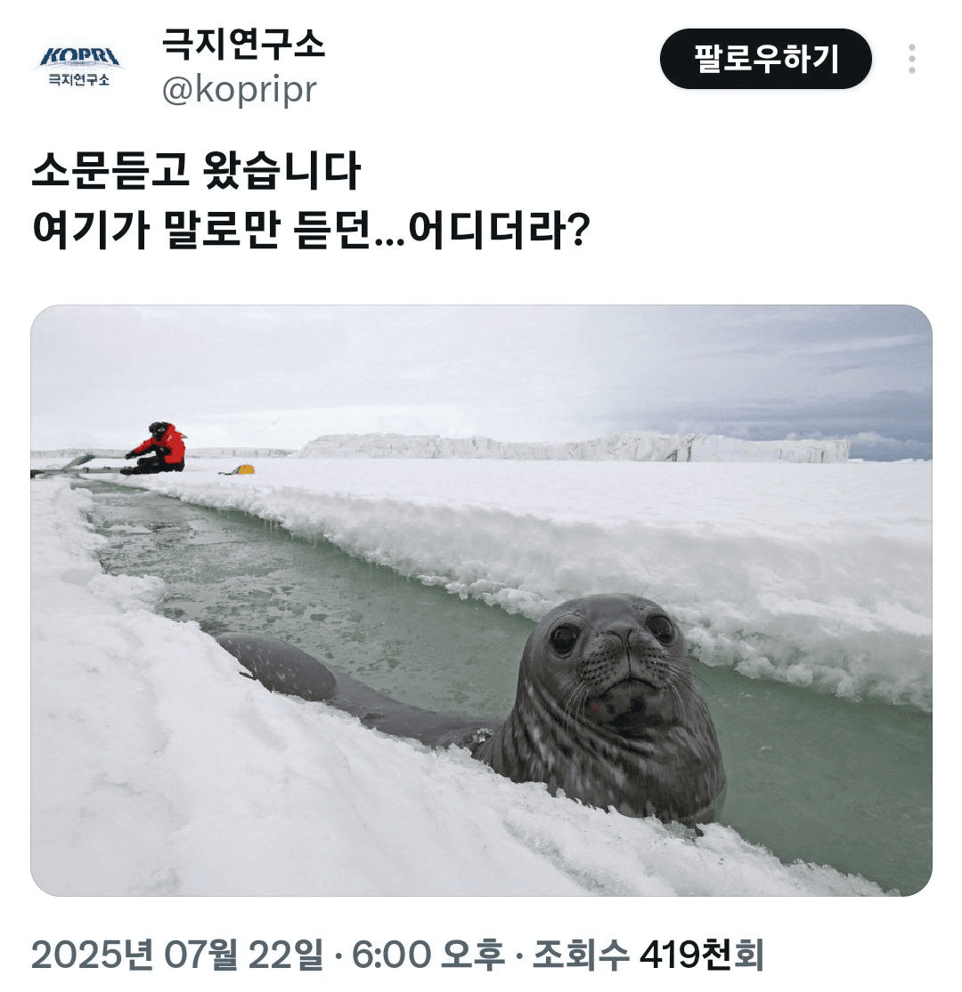 shampoo1004/86011/6055301157875729989