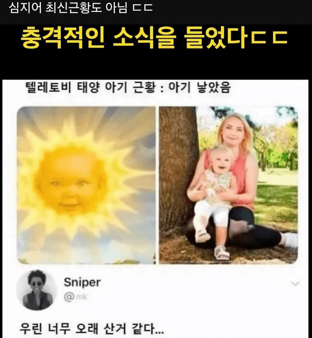 shampoo1004/86662/6147655113792145819