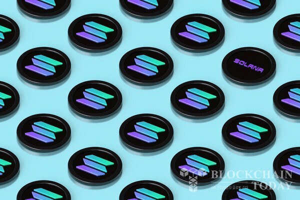 shampoo1004/86781/5869381567049218993