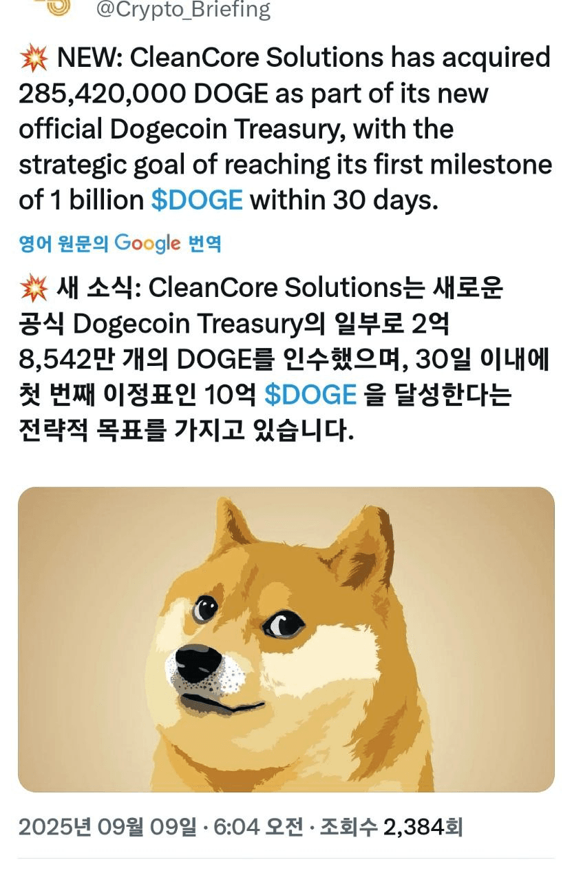 shampoo1004/87140/6195007604971914456