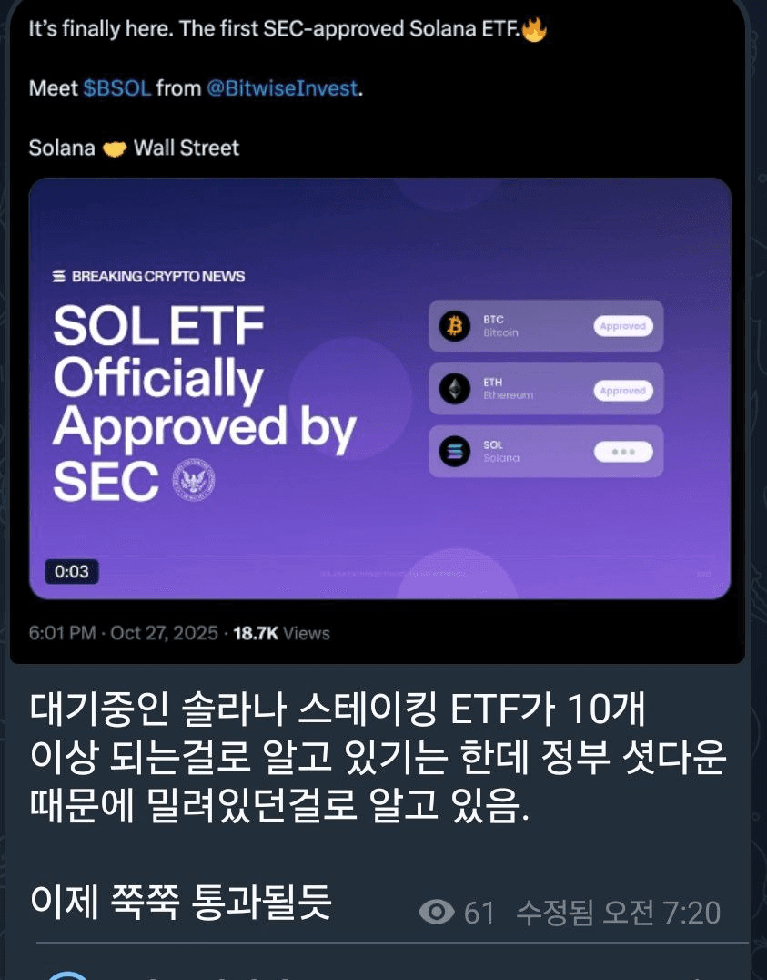 shampoo1004/88154/6053309976681319826