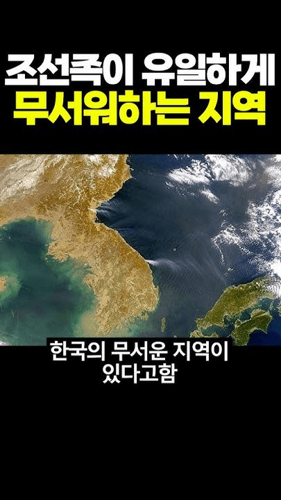 shampoo1004/88308/5957419188207336284