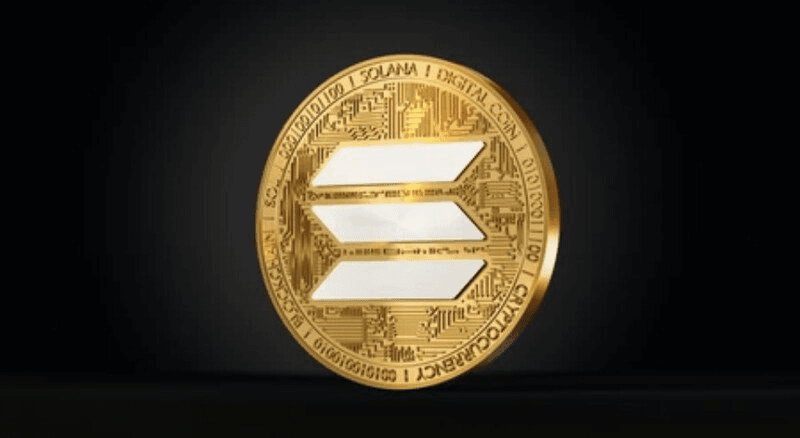 shampoo1004/88429/5966361258577999140