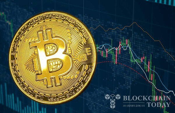 shampoo1004/88444/5826611015704054683