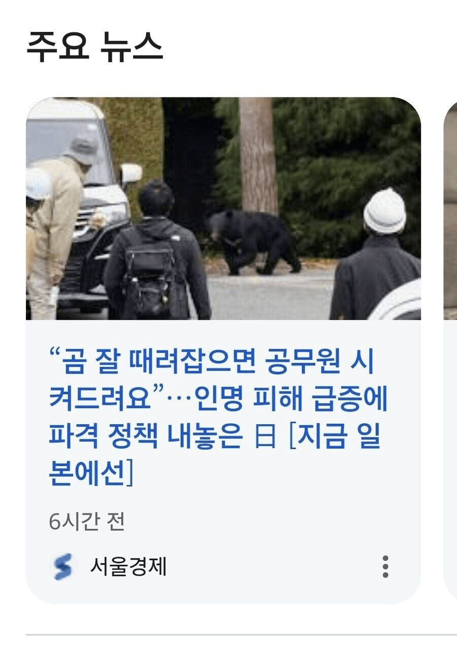 shampoo1004/88466/6118311914409495638